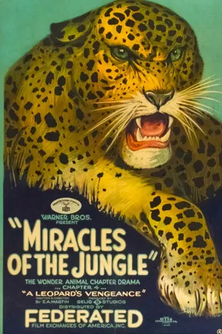 Miracles of the Jungle afişi