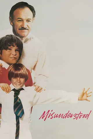Görsel: TMDB Misunderstood afişi
