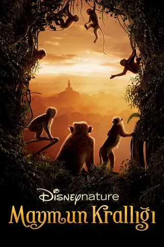 Monkey Kingdom afişi