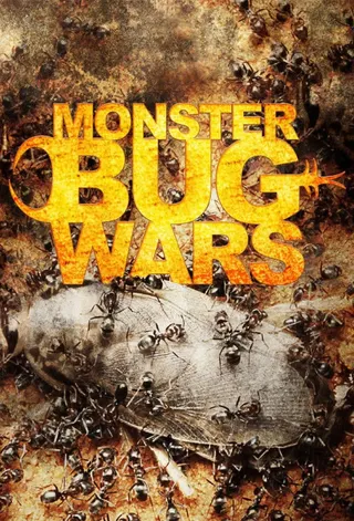 Monster Bug Wars afişi