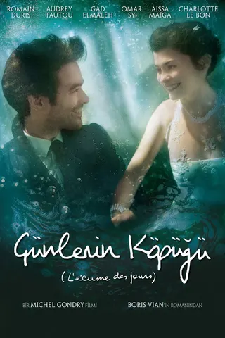 Mood Indigo afişi