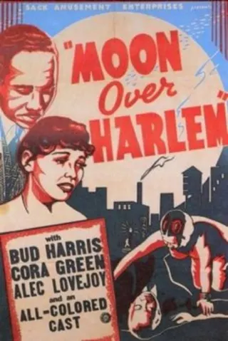 Moon Over Harlem afişi