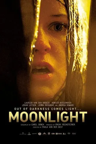 Görsel: TMDB Moonlight afişi