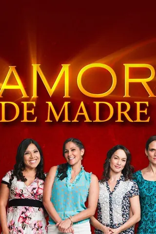Mother's Love la novela afişi