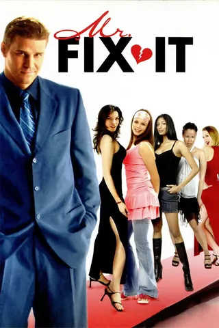 Görsel: TMDB Mr. Fix It afişi