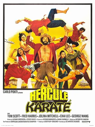 Görsel: TMDB Mr. Hercules Against Karate afişi