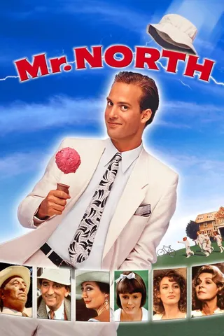 Görsel: TMDB Mr. North afişi