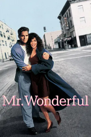 Mr. Wonderful afişi