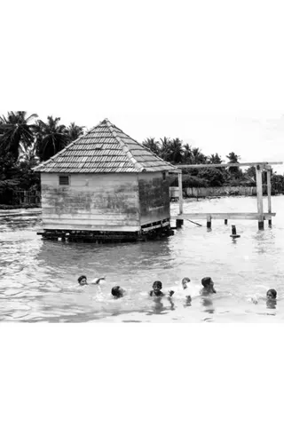 Muchachos bañándose en la laguna de Maracaibo afişi