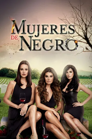 Mujeres de negro afişi