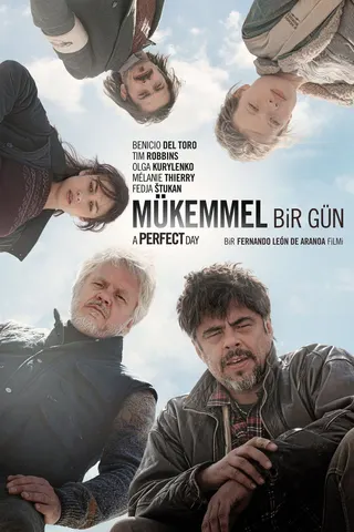 Görsel: TMDB Mükemmel Bir Gün afişi