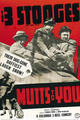 Görsel: TMDB Mutts to You afişi
