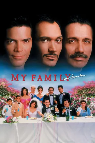 Görsel: TMDB My Family afişi