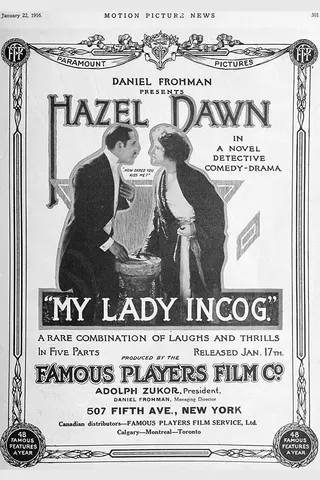 Görsel: TMDB My Lady Incog afişi