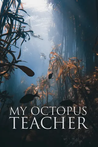 Görsel: TMDB My Octopus Teacher afişi