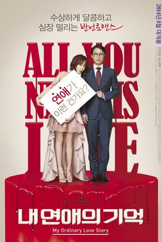 My Ordinary Love Story afişi