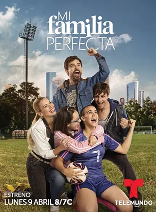 My Perfect Family afişi