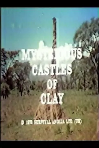 Görsel: TMDB Mysterious Castles of Clay afişi