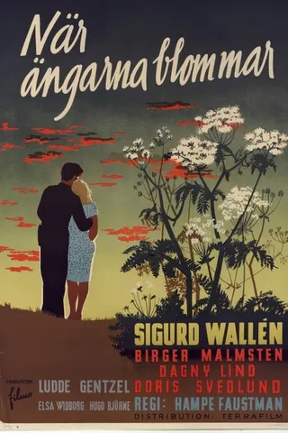 När ängarna blommar afişi