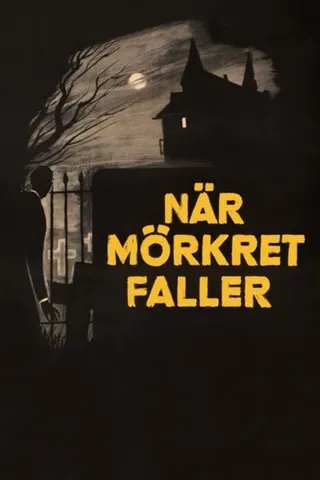Görsel: TMDB När mörkret faller afişi