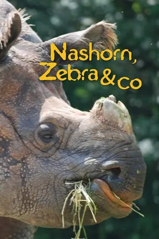 Görsel: TMDB Nashorn, Zebra & Co. afişi