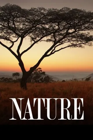 Nature afişi