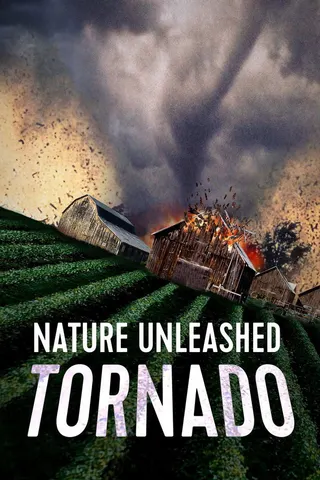 Görsel: TMDB Nature Unleashed: Tornado afişi