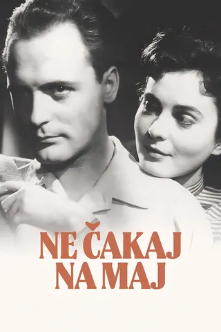 Ne čakaj na maj afişi