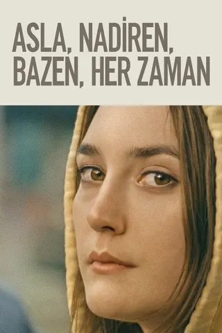 Görsel: TMDB Never Rarely Sometimes Always afişi