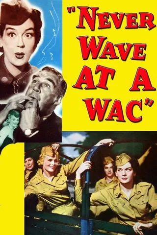 Görsel: TMDB Never Wave at a WAC afişi