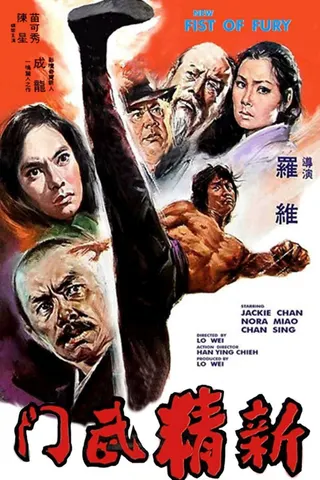 Görsel: TMDB New Fist of Fury afişi