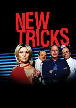New Tricks afişi