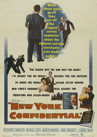 Görsel: TMDB New York Confidential afişi