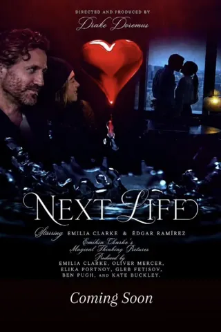 Next Life afişi