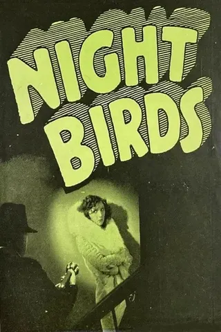 Night Birds afişi