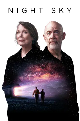Görsel: TMDB Night Sky afişi