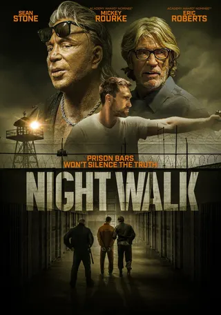 Görsel: TMDB Night Walk afişi