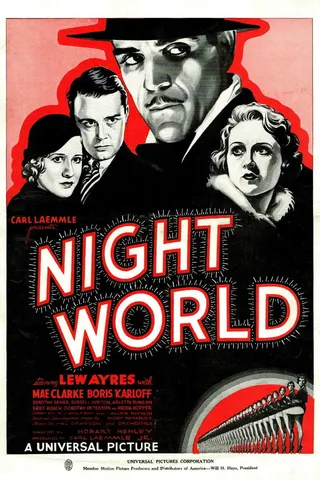 Night World afişi