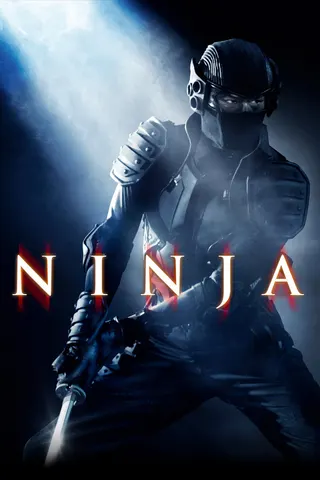 Görsel: TMDB Ninja afişi