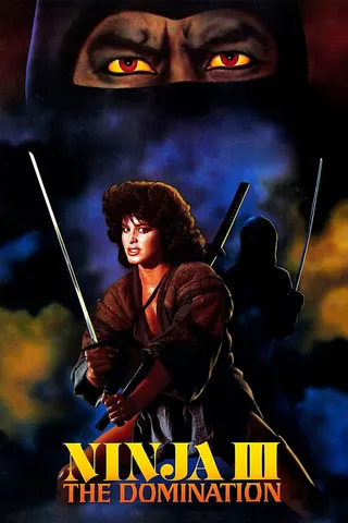 Görsel: TMDB Ninja III: The Domination afişi