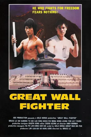 Görsel: TMDB Ninja Over the Great Wall afişi