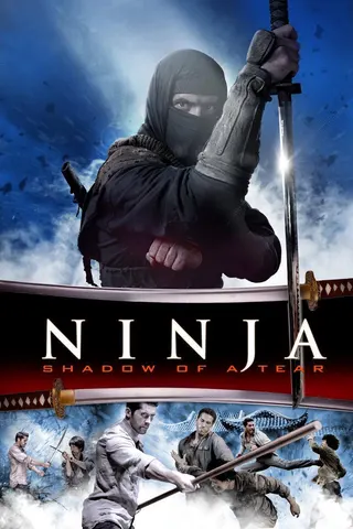 Görsel: TMDB Ninja: Shadow of a Tear afişi