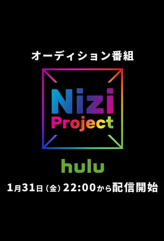 Görsel: TMDB Nizi Project afişi