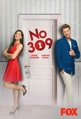 Görsel: TMDB No 309 afişi