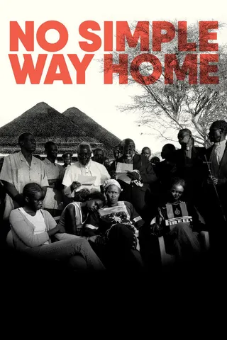 Görsel: TMDB No Simple Way Home afişi