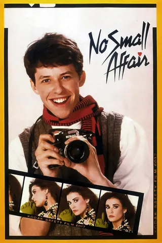 Görsel: TMDB No Small Affair afişi