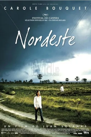 Görsel: TMDB Northeast afişi