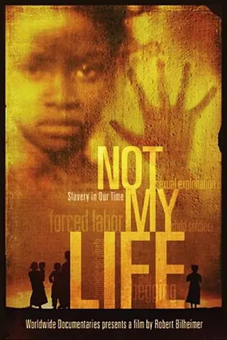 Not My Life afişi