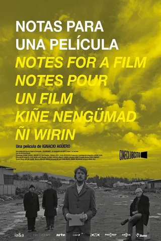 Görsel: TMDB Notes For a Film afişi