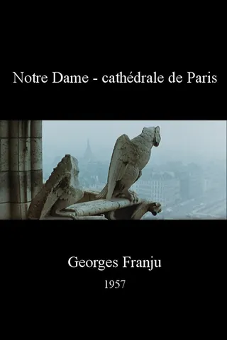 Notre Dame - cathédrale de Paris afişi